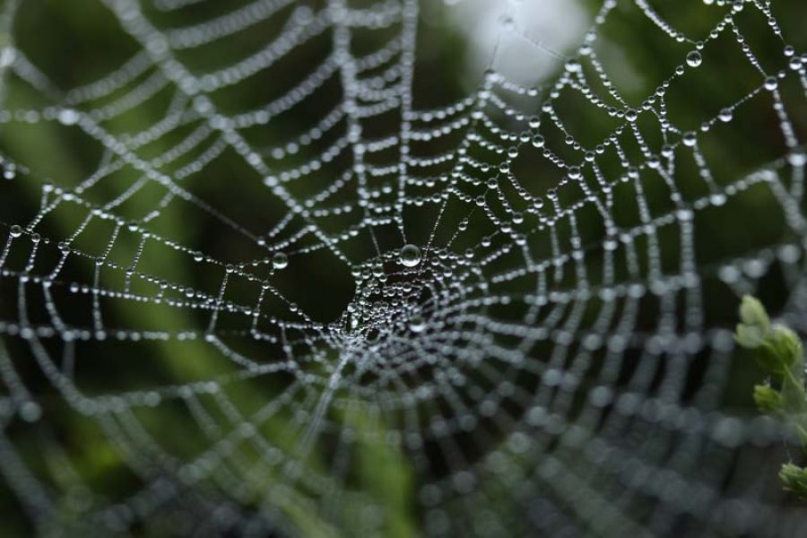 5 Keys to Adopting Marketing Automation